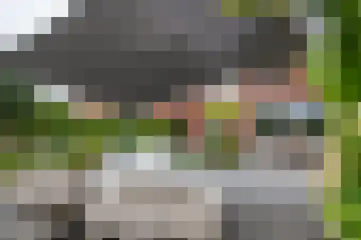 Fibula 6 Zoelen thumbnail 68