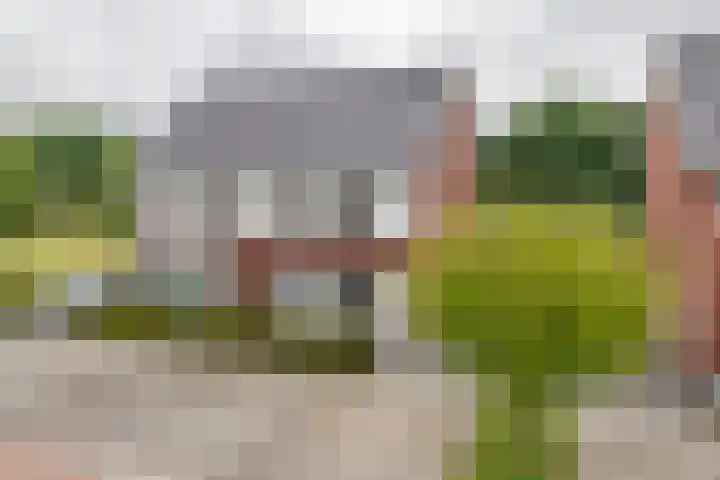 Fibula 6 Zoelen thumbnail 69
