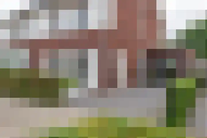 Fibula 6 Zoelen thumbnail 70