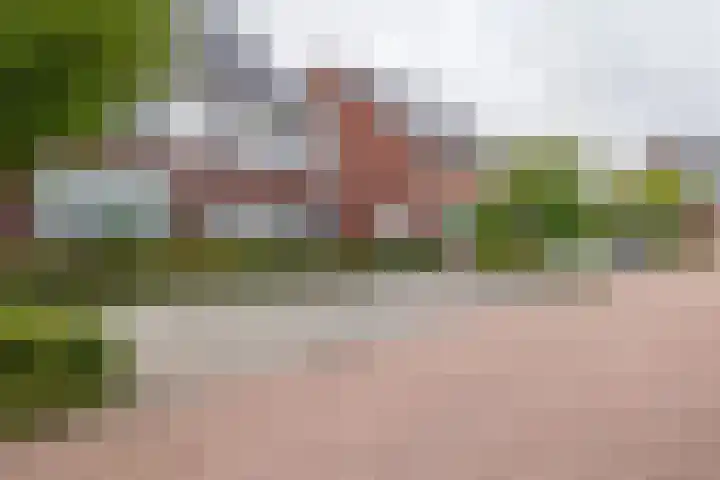 Fibula 6 Zoelen thumbnail 71