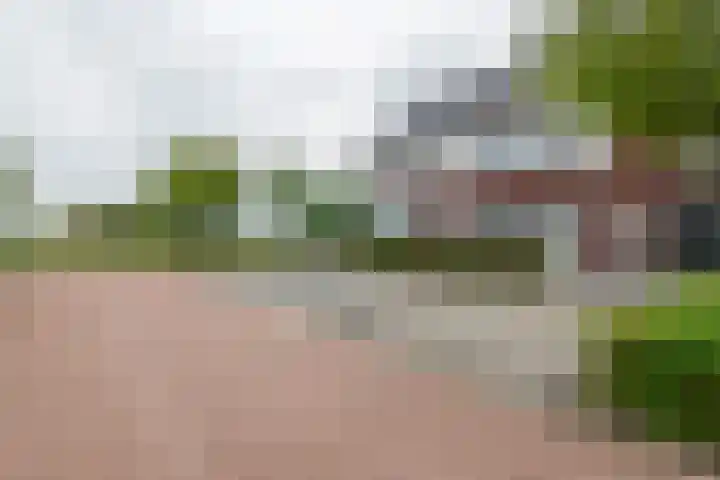 Fibula 6 Zoelen thumbnail 72