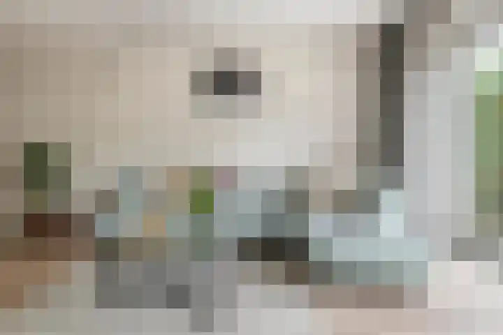Fibula 6 Zoelen thumbnail 9