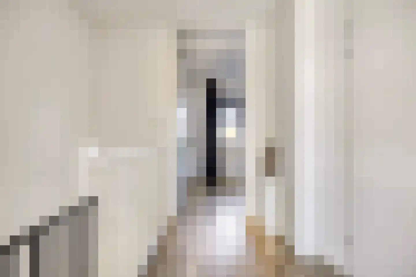 Fibula 63 Borger thumbnail 27