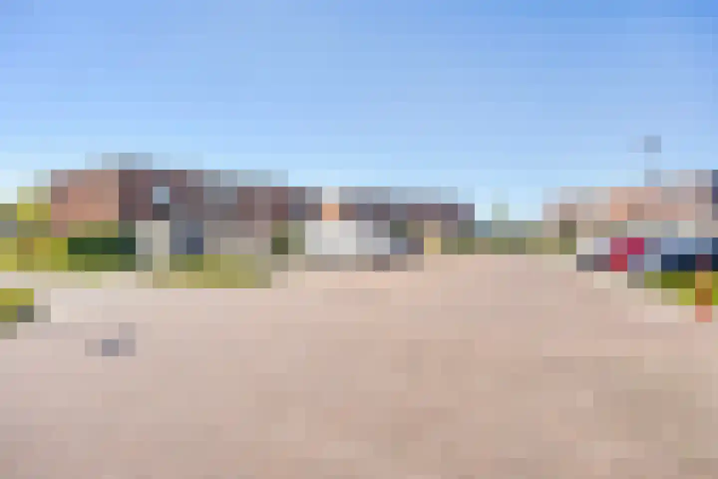 Fibula 63 Borger thumbnail 45