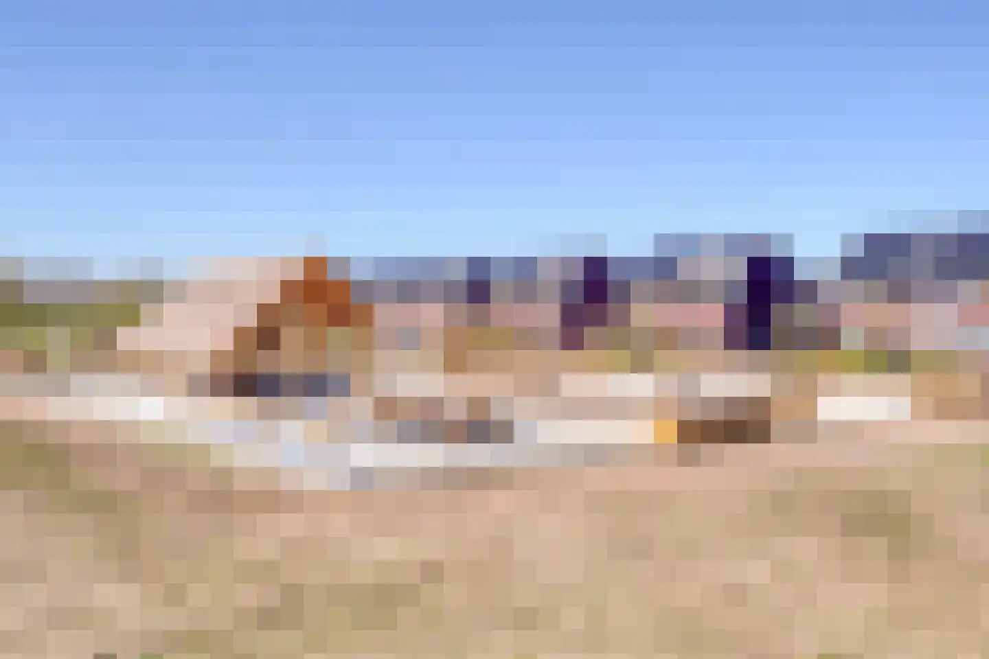 Fibula 63 Borger thumbnail 47
