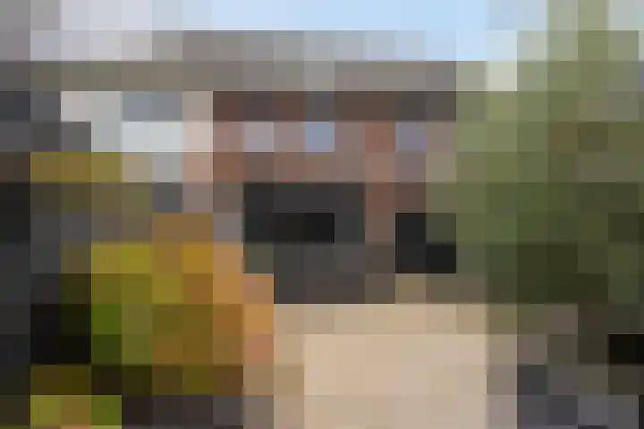 Fibulastraat 12 Huissen thumbnail 32