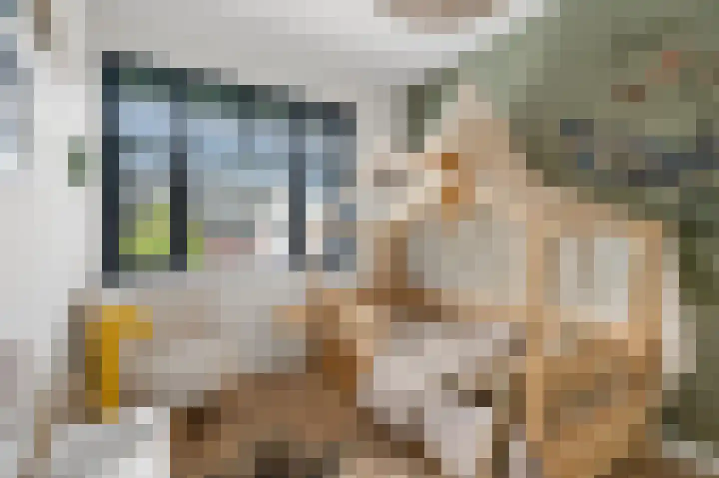Fibulastraat 14 Huissen thumbnail 27