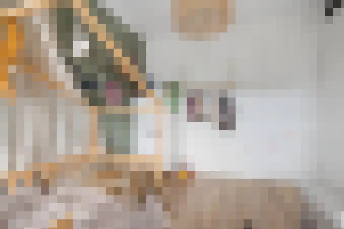 Fibulastraat 14 Huissen thumbnail 28