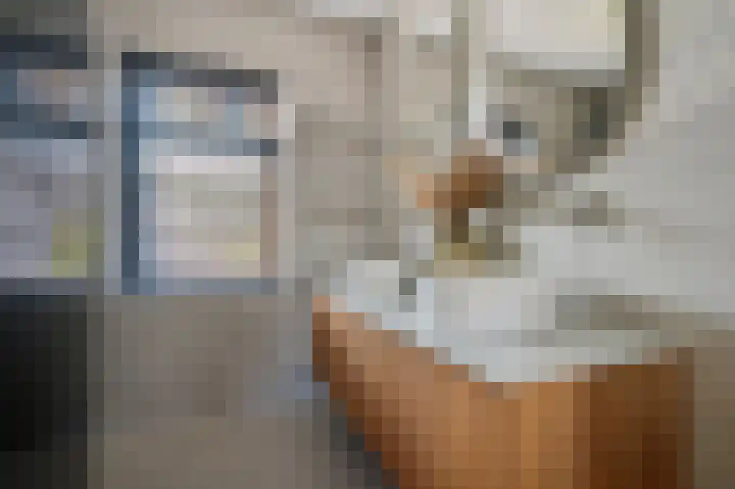 Fibulastraat 14 Huissen thumbnail 35