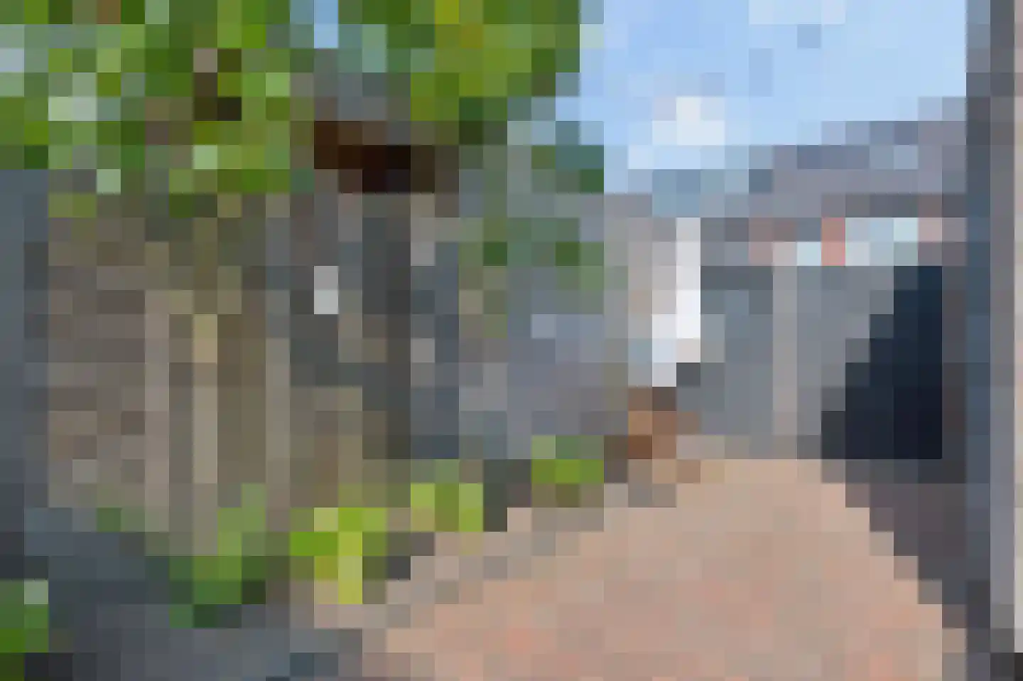 Fibulastraat 14 Huissen thumbnail 47