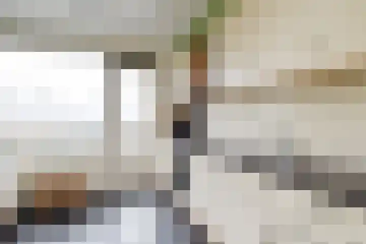 Fichtestraat 10 Rotterdam thumbnail 12