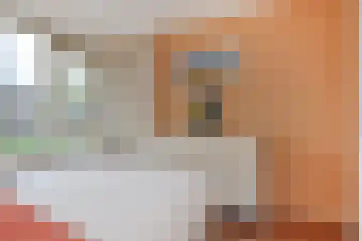 Fichtestraat 10 Rotterdam thumbnail 20