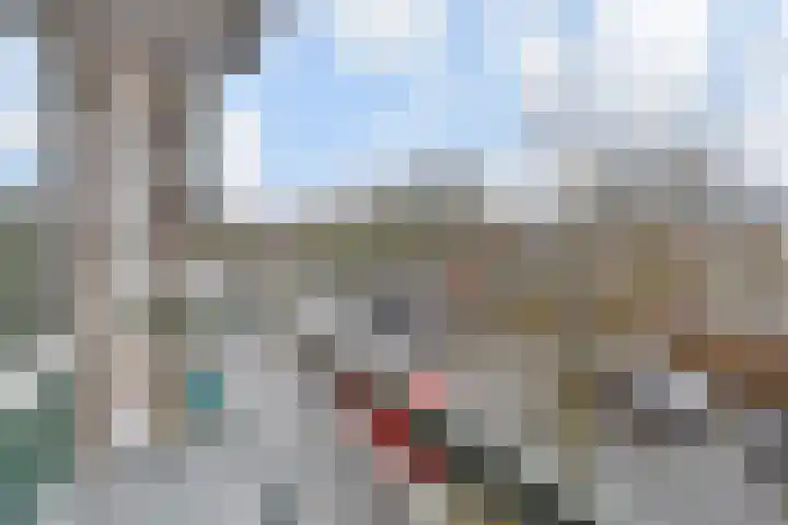 Fichtestraat 10 Rotterdam thumbnail 26