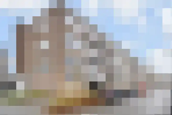 Fichtestraat 10 Rotterdam thumbnail 28