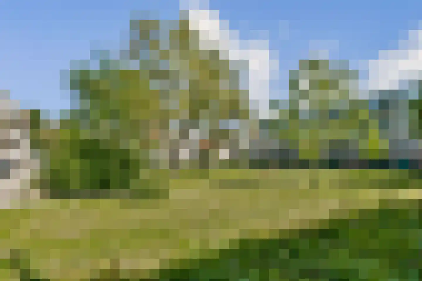 Fichtestraat 28 Rotterdam thumbnail 27