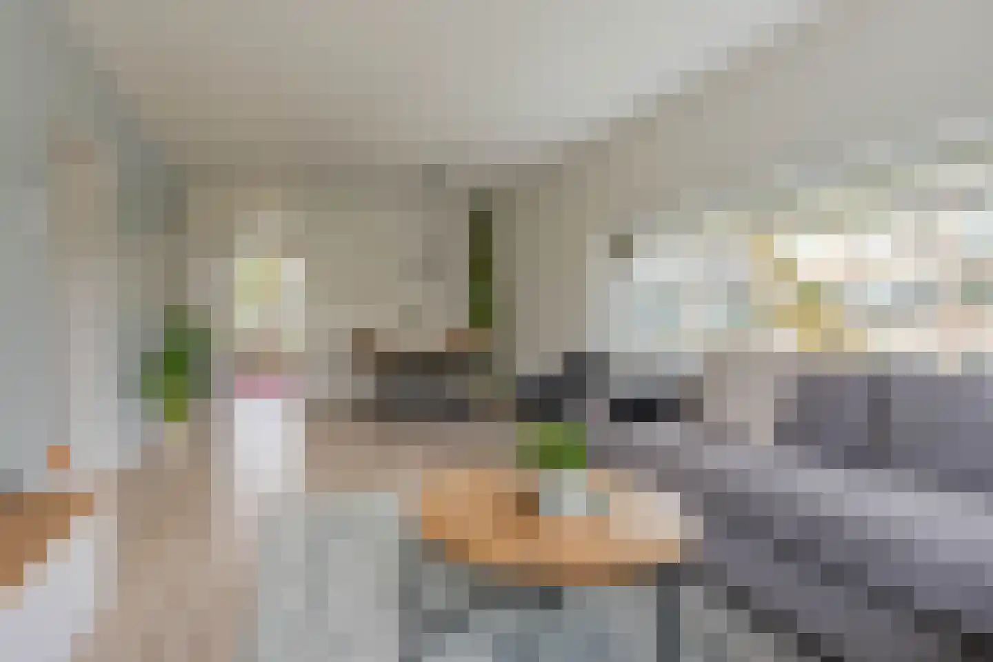 Fichtestraat 36 Rotterdam thumbnail 13