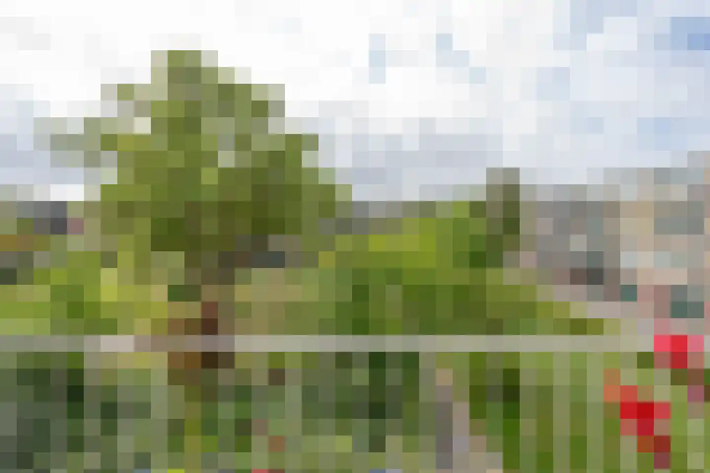 Fichtestraat 36 Rotterdam thumbnail 27