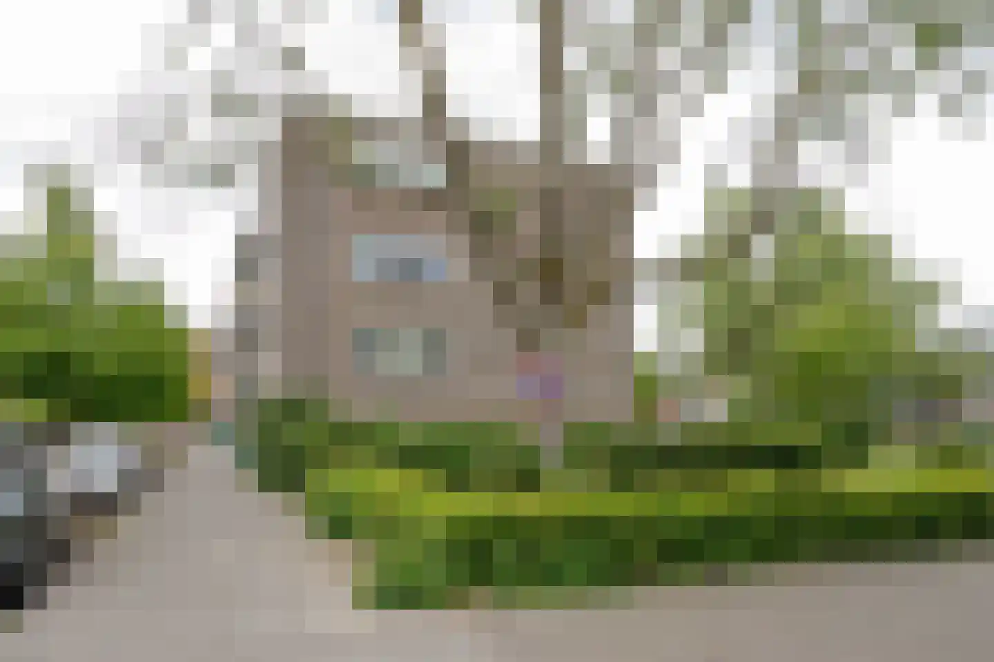Fichtestraat 36 Rotterdam thumbnail 30
