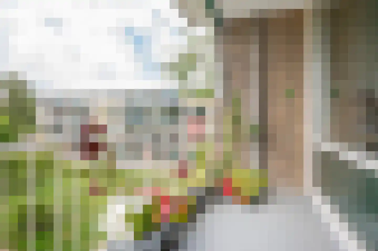 Fichtestraat 36 Rotterdam thumbnail 5