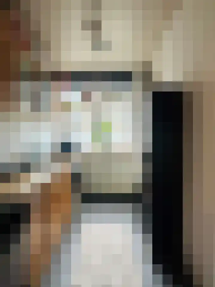 Fichtestraat 49 Rotterdam thumbnail 11