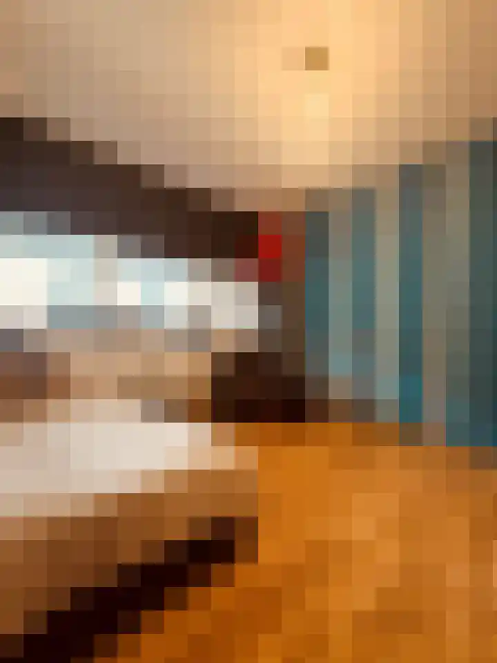 Fichtestraat 49 Rotterdam thumbnail 13