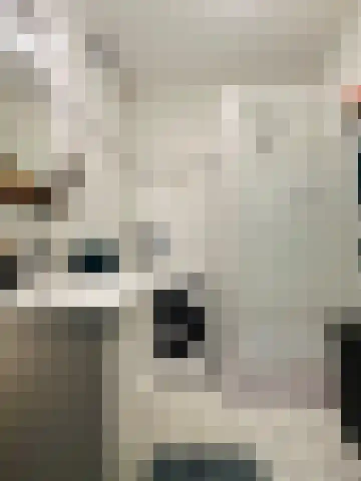 Fichtestraat 49 Rotterdam thumbnail 15