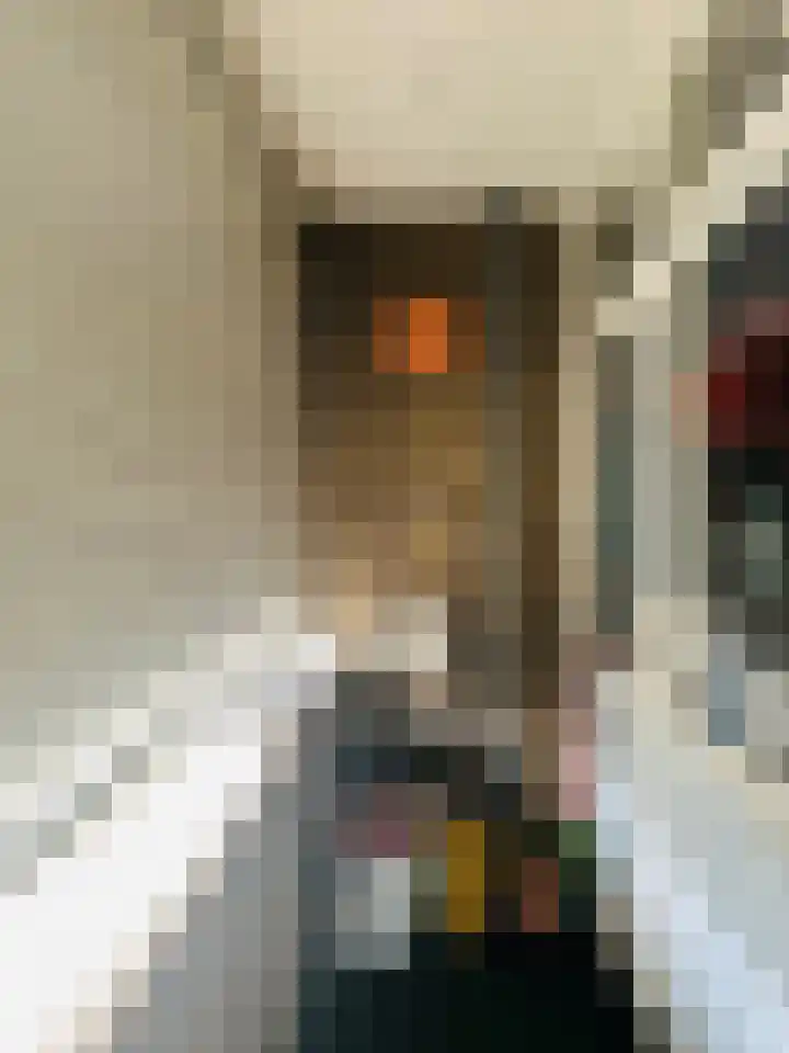 Fichtestraat 49 Rotterdam thumbnail 17