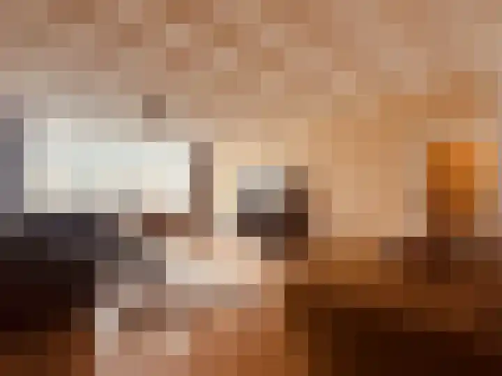 Fichtestraat 49 Rotterdam thumbnail 6