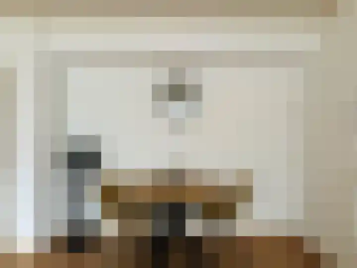 Fichtestraat 49 Rotterdam thumbnail 8