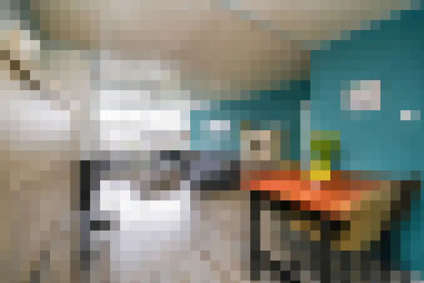 Fichtestraat 93 Rotterdam thumbnail 10
