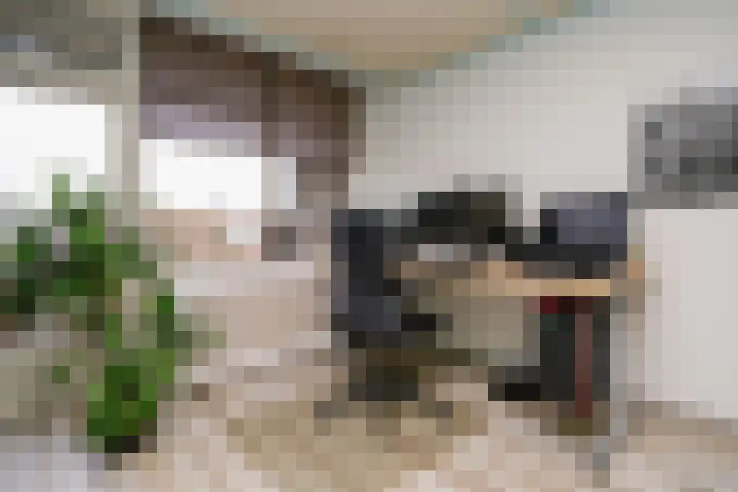 Fichtestraat 93 Rotterdam thumbnail 18