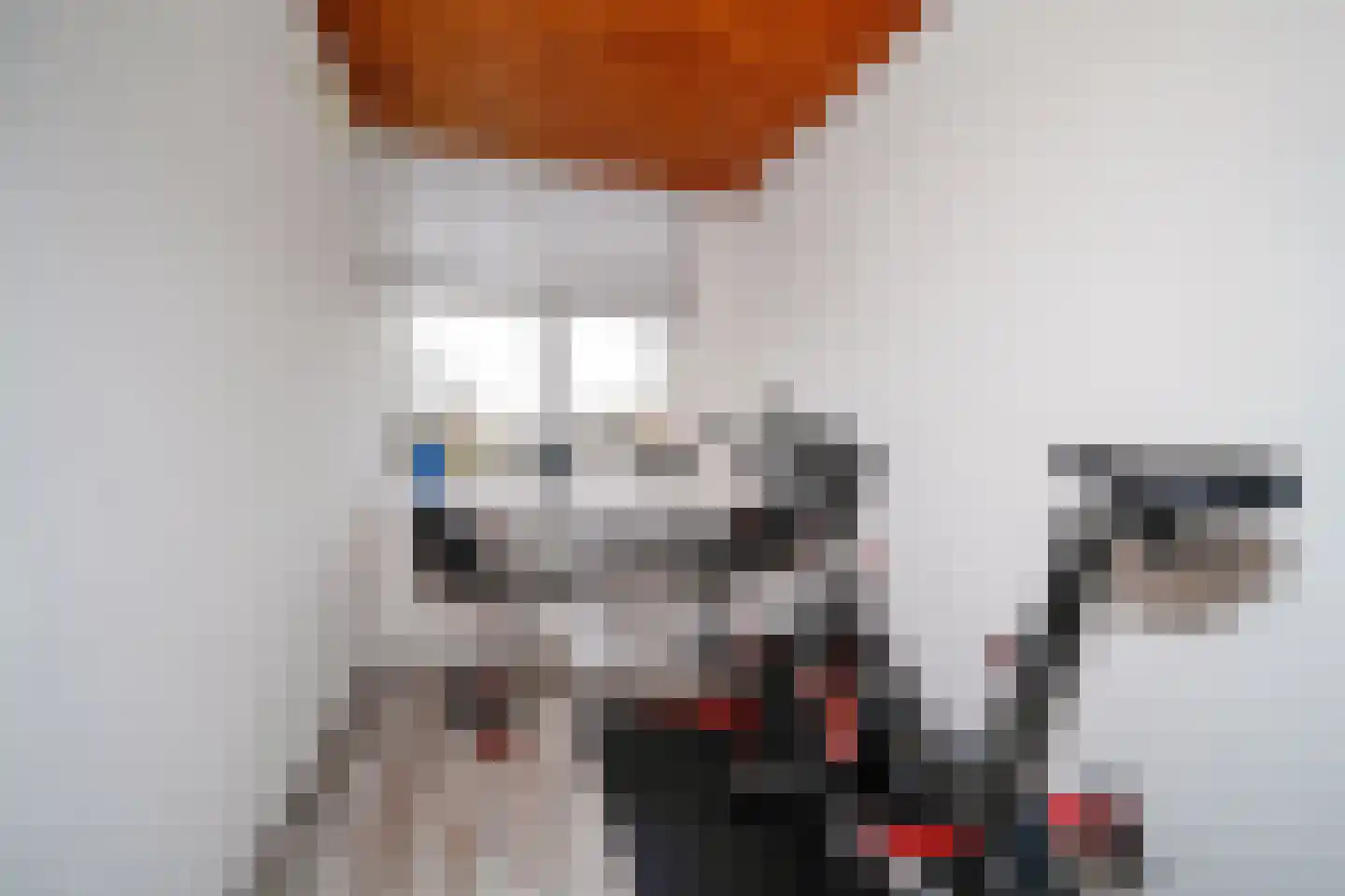 Fichtestraat 93 Rotterdam thumbnail 21
