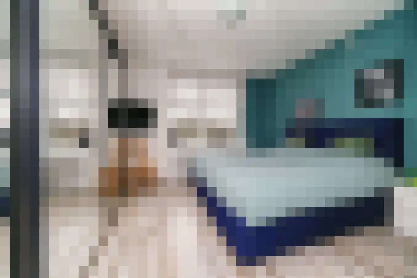 Fichtestraat 93 Rotterdam thumbnail 4