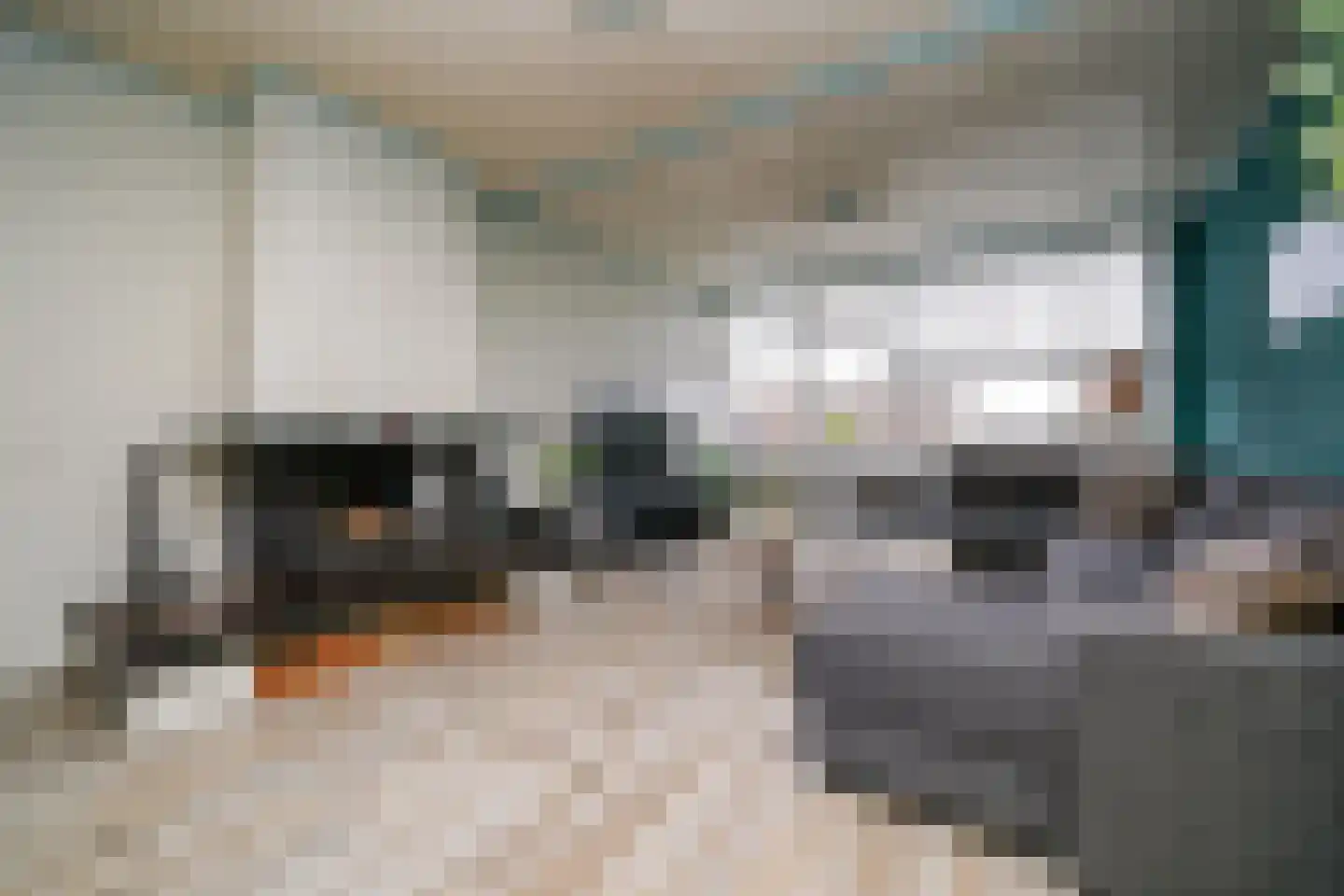 Fichtestraat 93 Rotterdam thumbnail 7