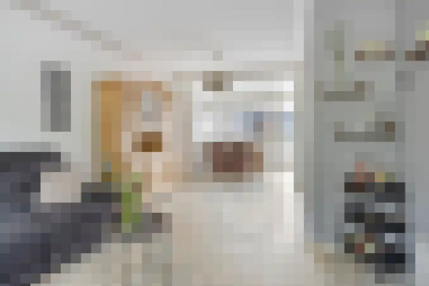 Ficusstraat 9 Asten thumbnail 12