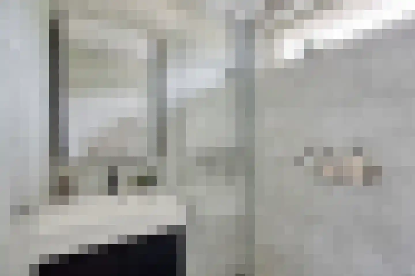 Ficusstraat 9 Asten thumbnail 25