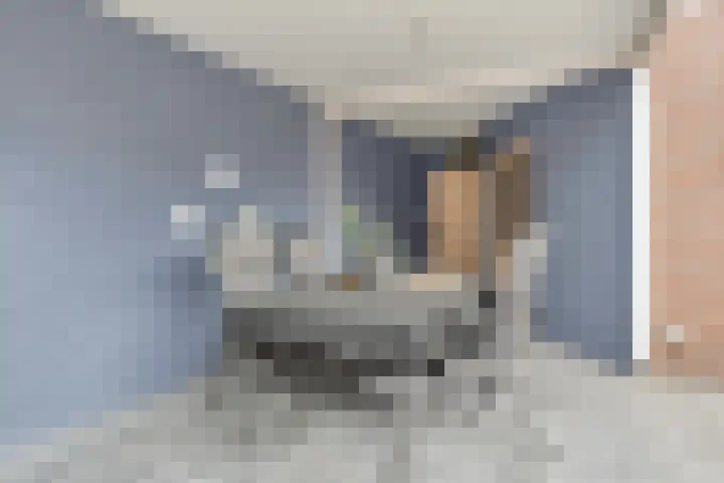 Ficusstraat 9 Asten thumbnail 36