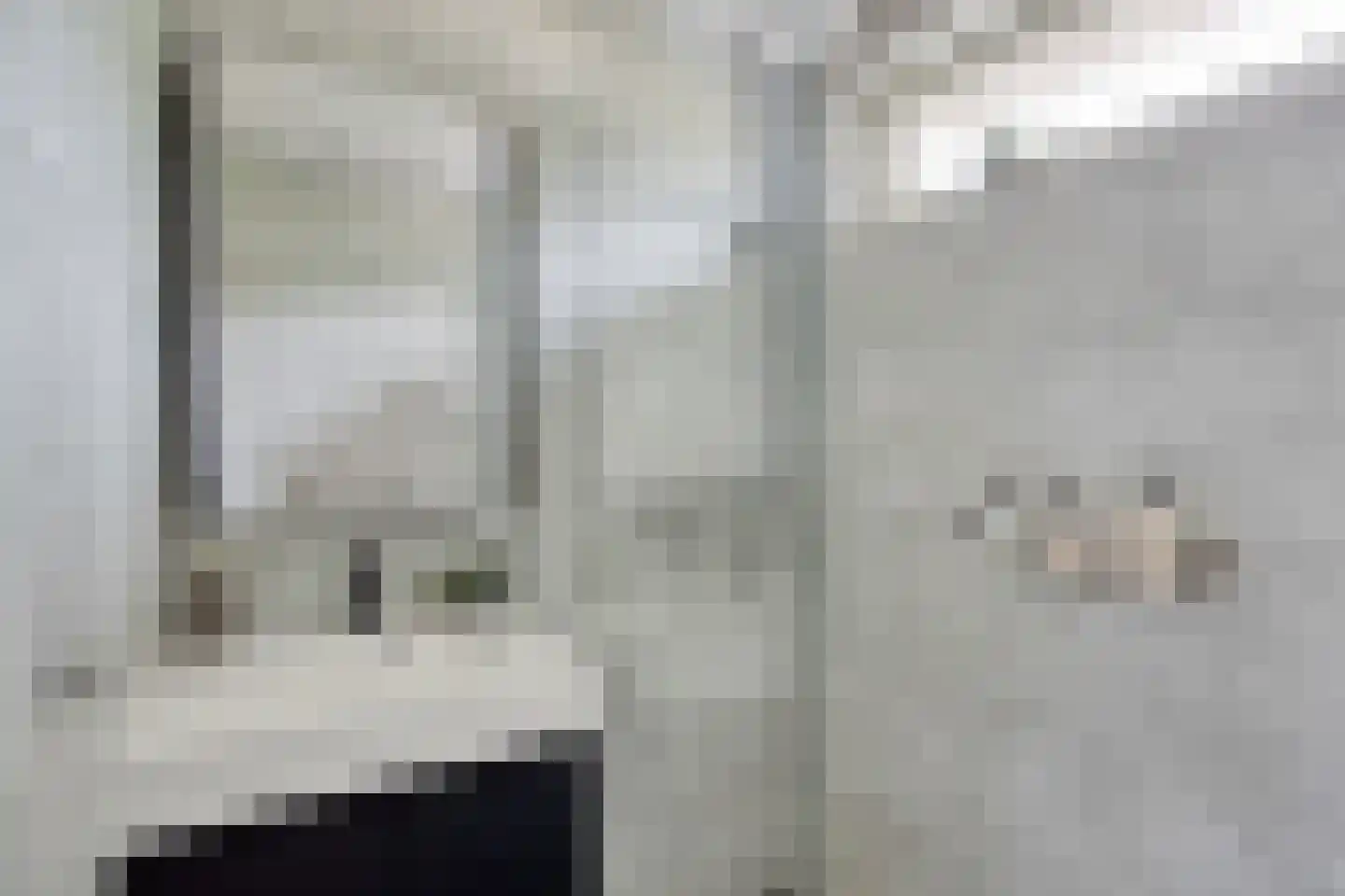 Ficusstraat 9 Asten thumbnail 4