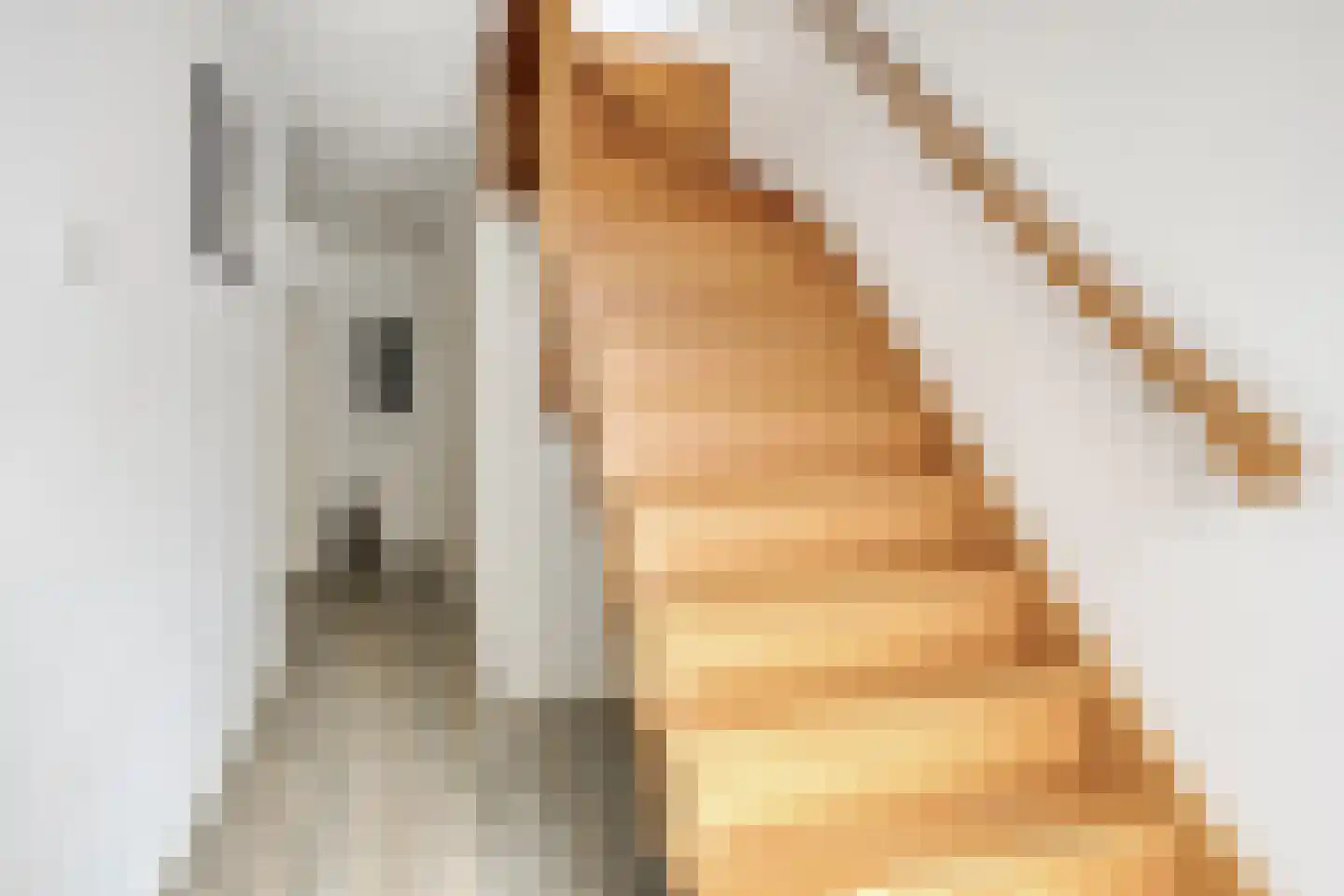 Ficusstraat 9 Asten thumbnail 8