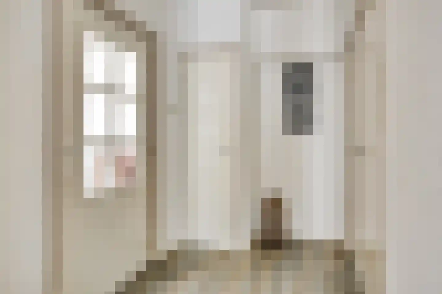 Ficusstraat 9 Asten thumbnail 9