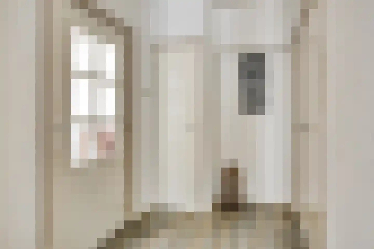 Ficusstraat 9 Asten thumbnail 9