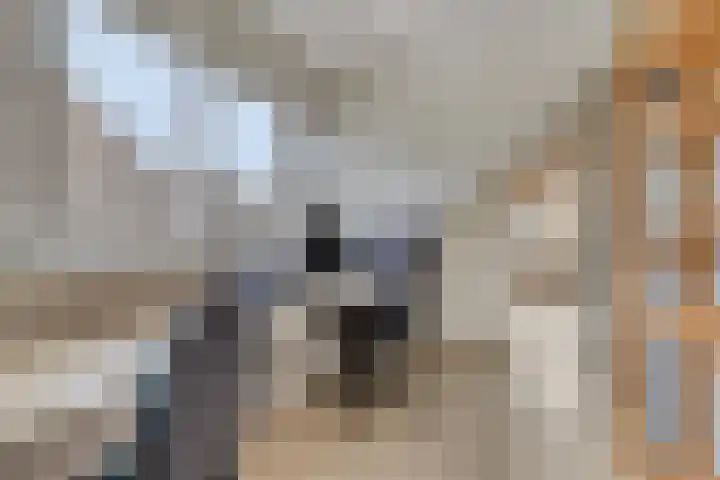 Fidelio 11 Kampen thumbnail 27