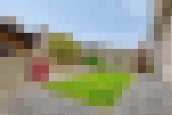 Fidelio 11 Kampen thumbnail 37
