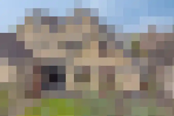 Fidelio 11 Kampen thumbnail 41