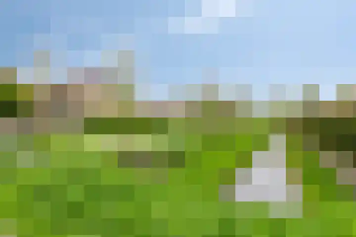 Fidelio 11 Kampen thumbnail 42
