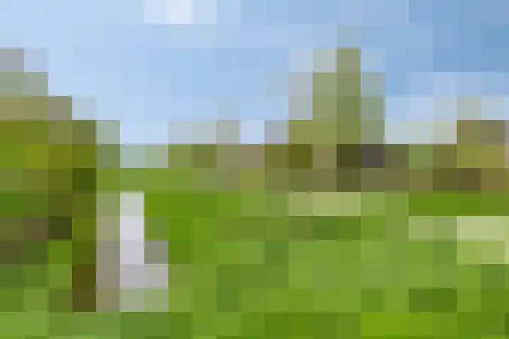 Fidelio 11 Kampen thumbnail 43