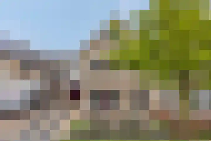 Fidelio 11 Kampen thumbnail 7