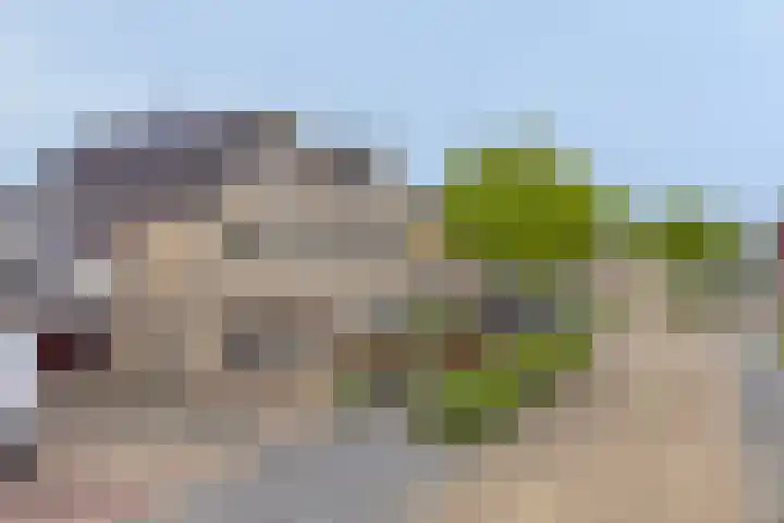 Fidelio 11 Kampen thumbnail 9