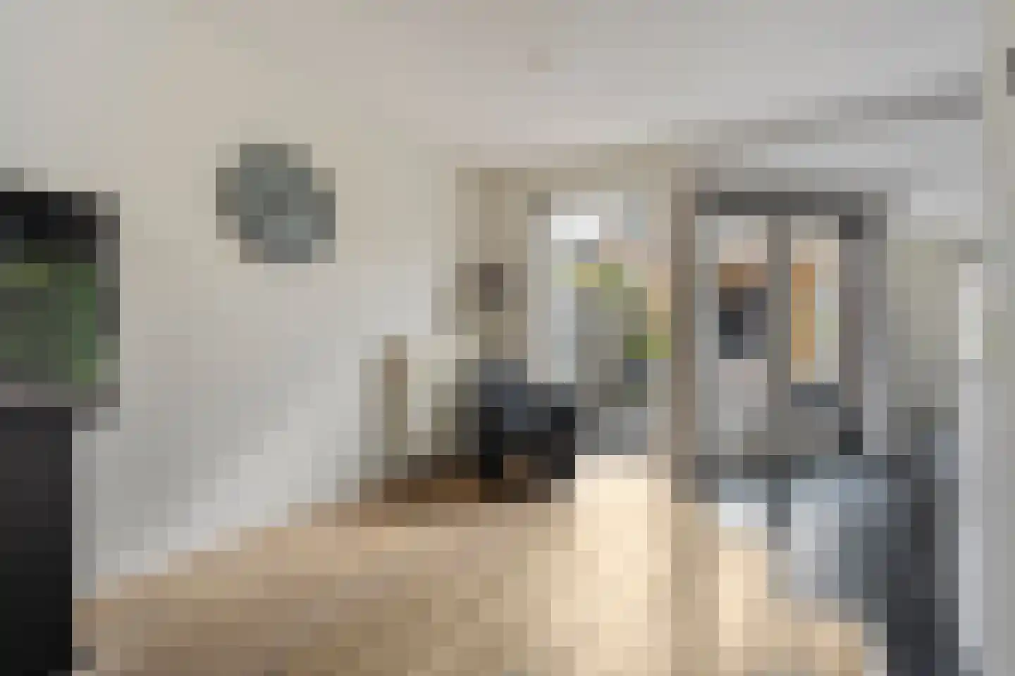 Fidelio 21 Kampen thumbnail 11