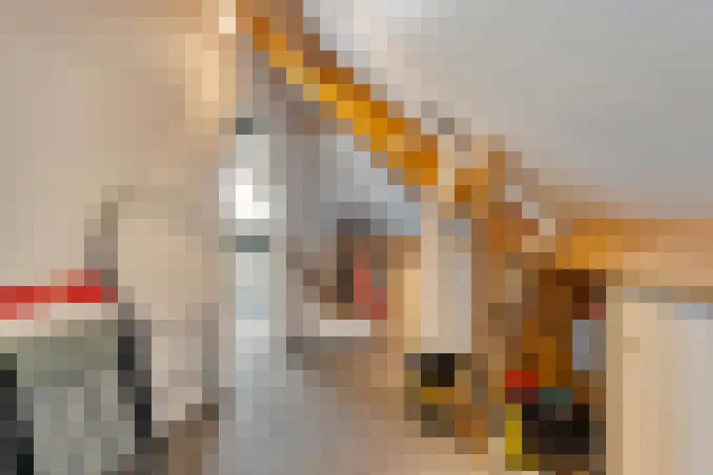 Fidelio 21 Kampen thumbnail 29